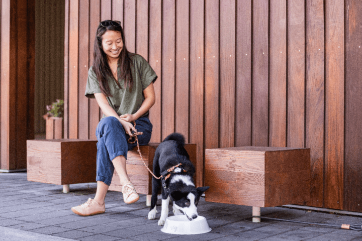 A service dog and its owner sitting down while the dog drinks from a bowl.